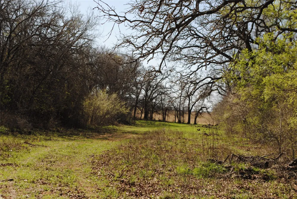 2100 Fm 591 Dublin, TX 76446