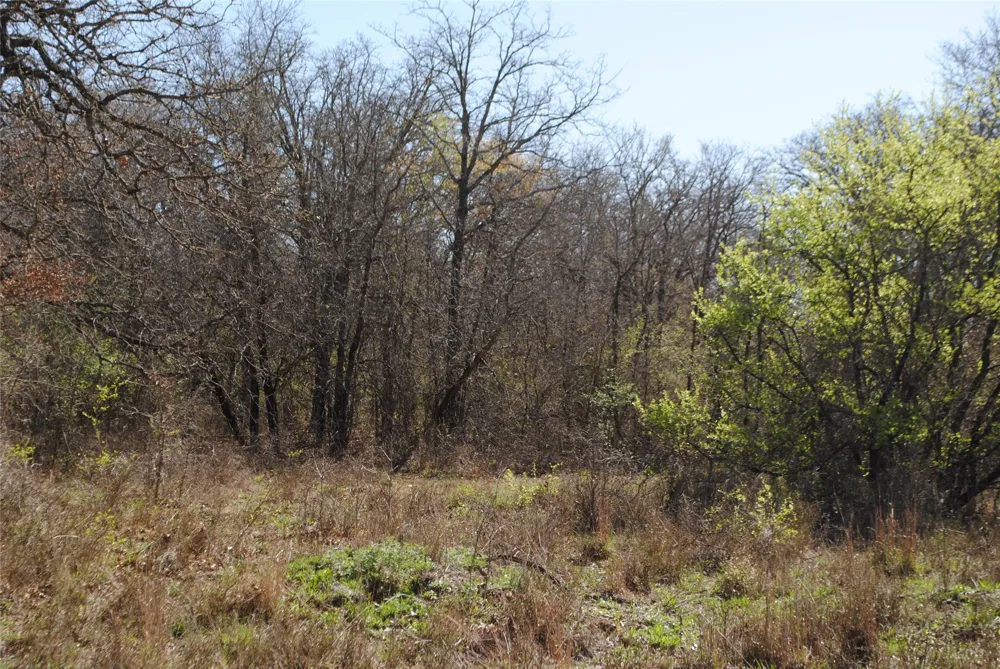 2100 Fm 591 Dublin, TX 76446