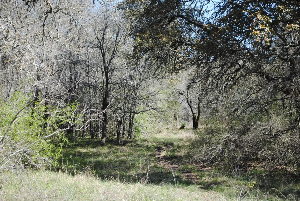 2100 Fm 591 Dublin, TX 76446