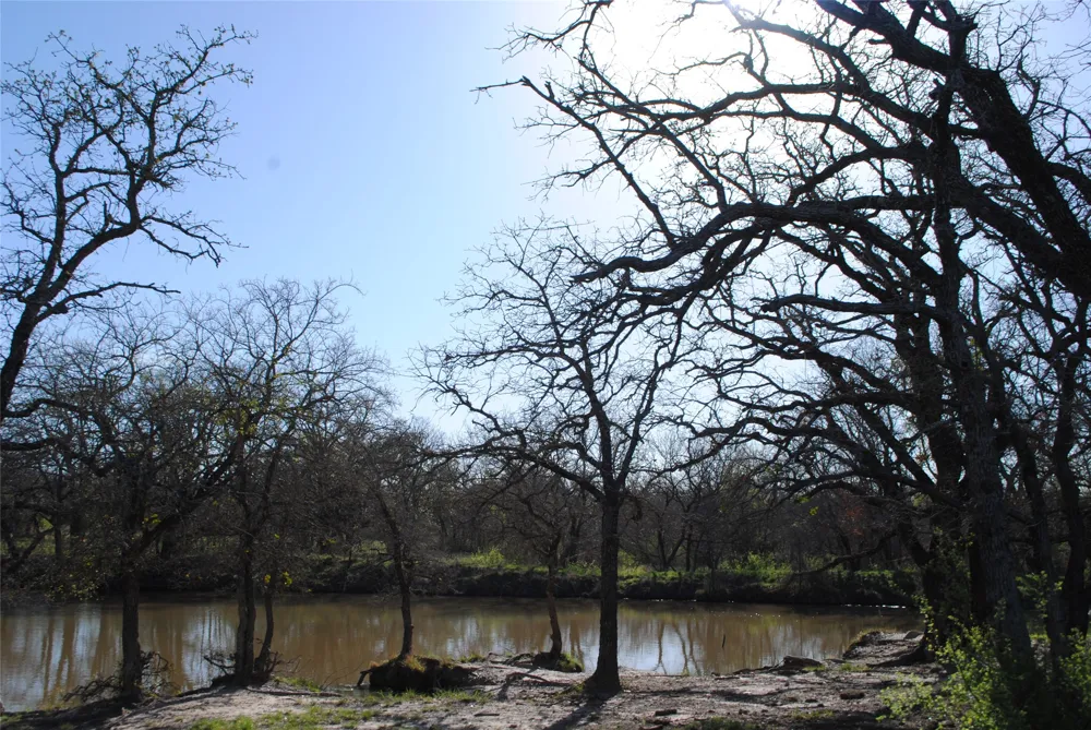 2100 Fm 591 Dublin, TX 76446