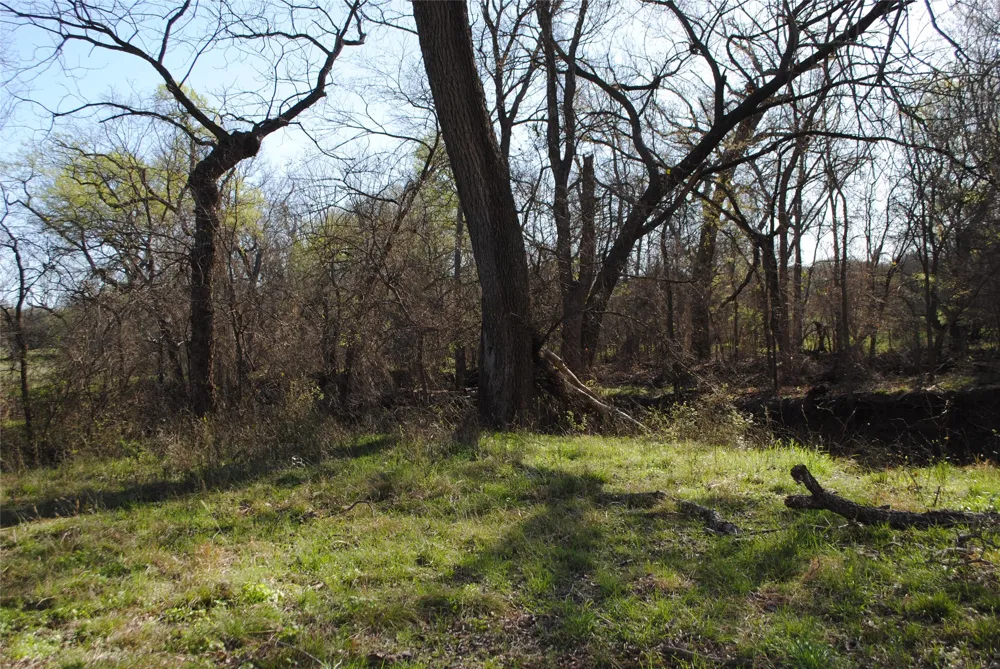 2100 Fm 591 Dublin, TX 76446
