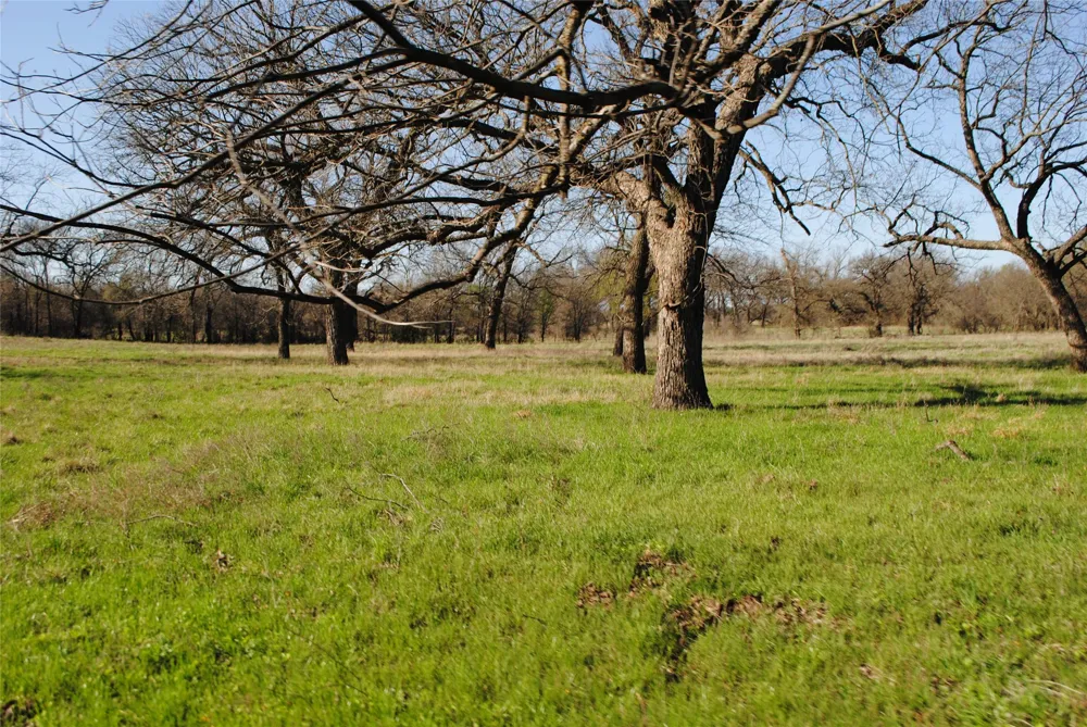 2100 Fm 591 Dublin, TX 76446