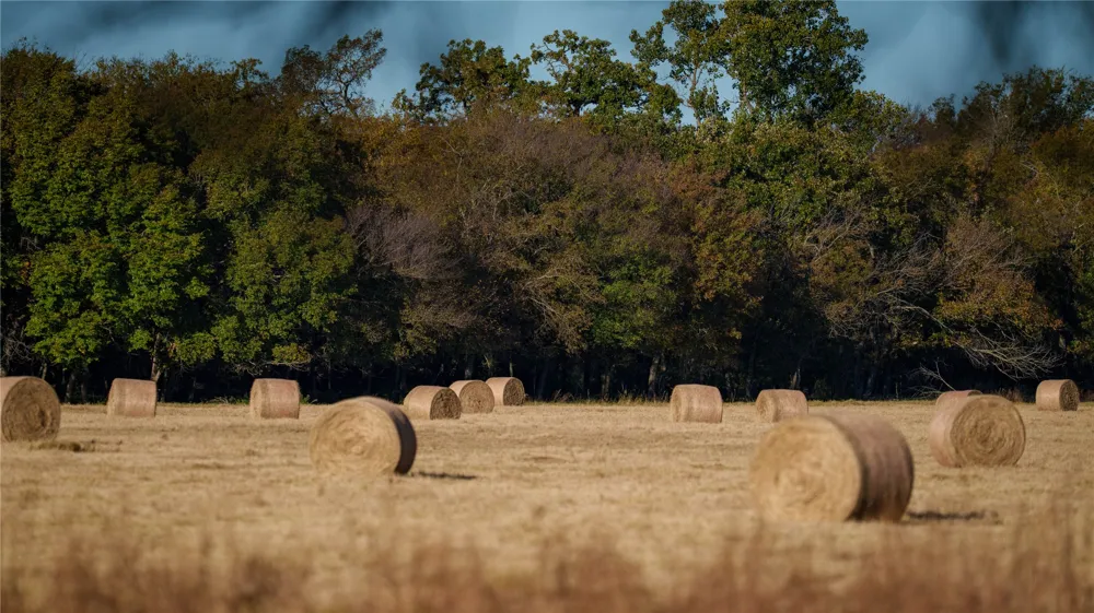 124 Private Road 3209 Bridgeport, TX 76426