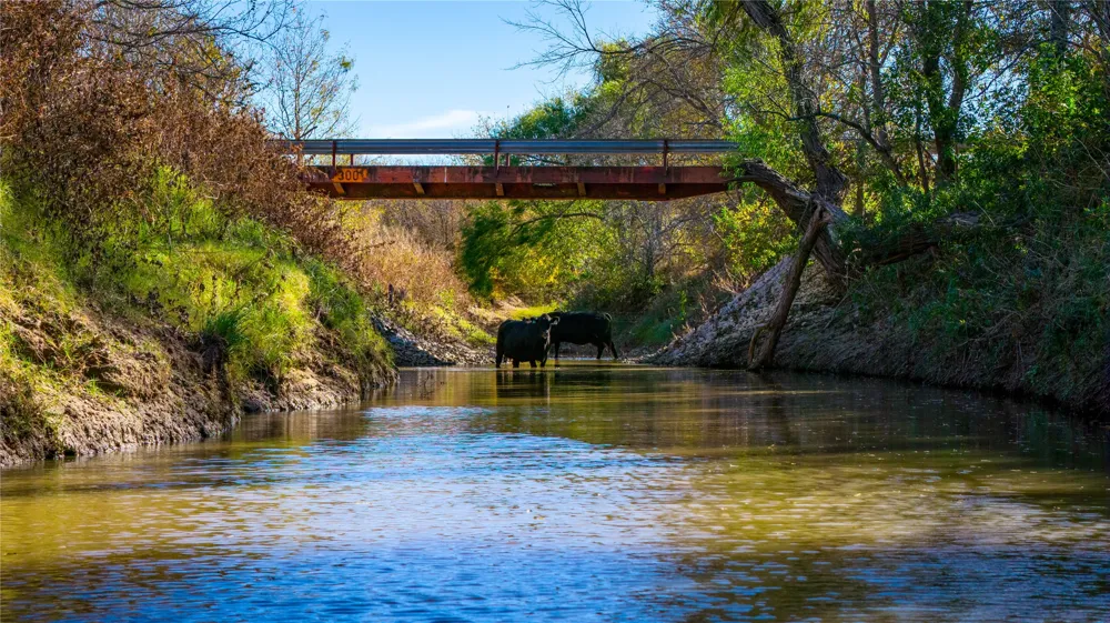 124 Private Road 3209 Bridgeport, TX 76426