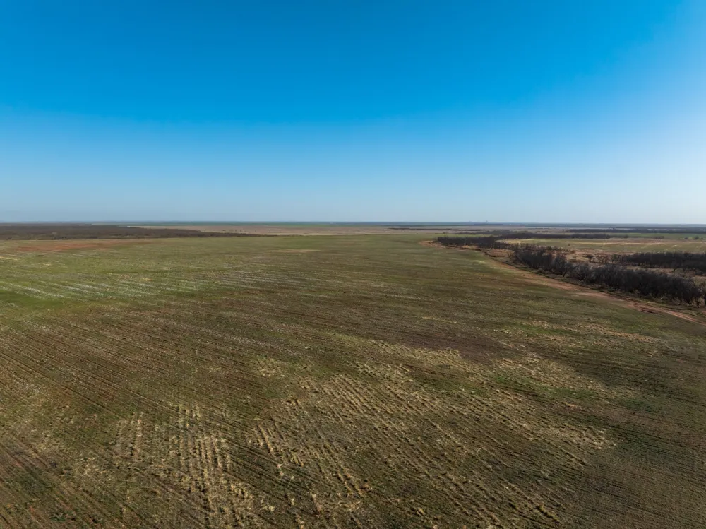 CR 262 McCaulley, TX 79534