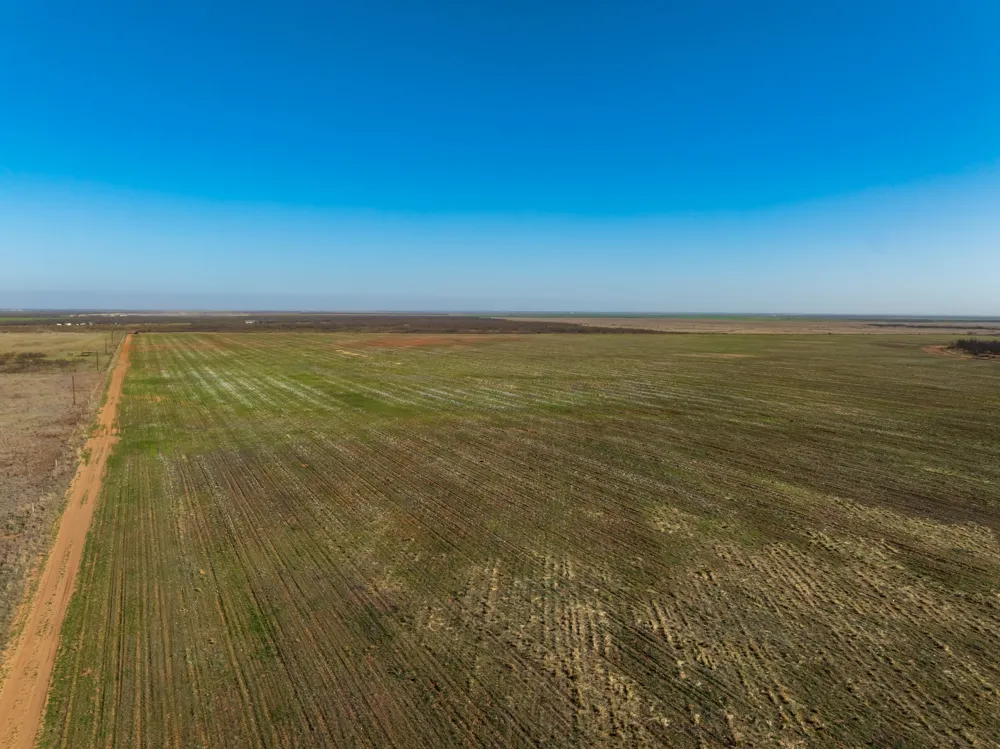 CR 262 McCaulley, TX 79534