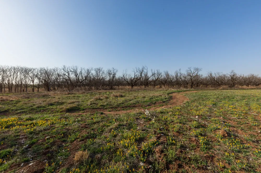 CR 262 McCaulley, TX 79534