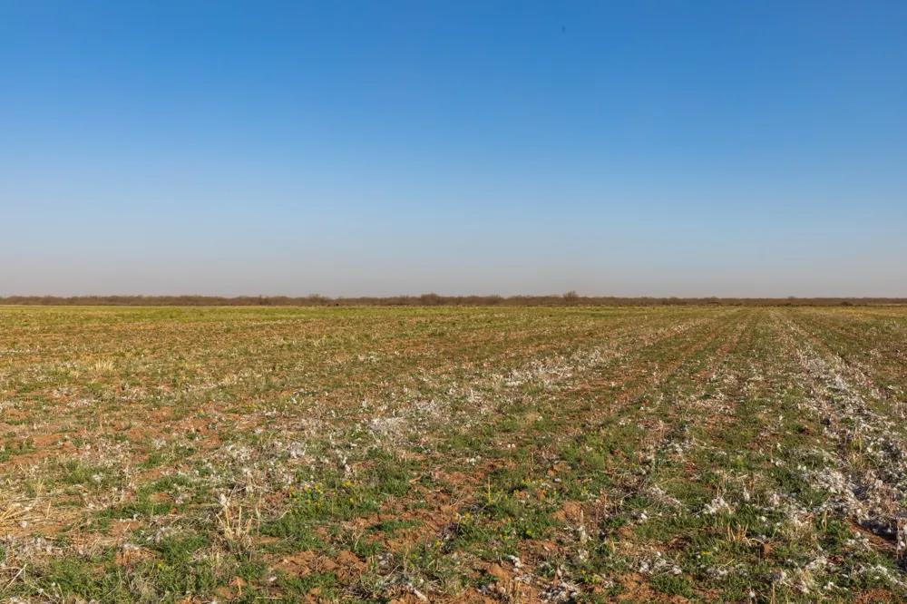 CR 262 McCaulley, TX 79534