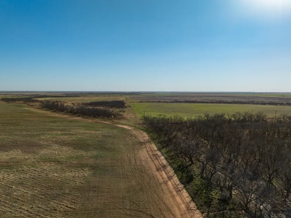 CR 262 McCaulley, TX 79534