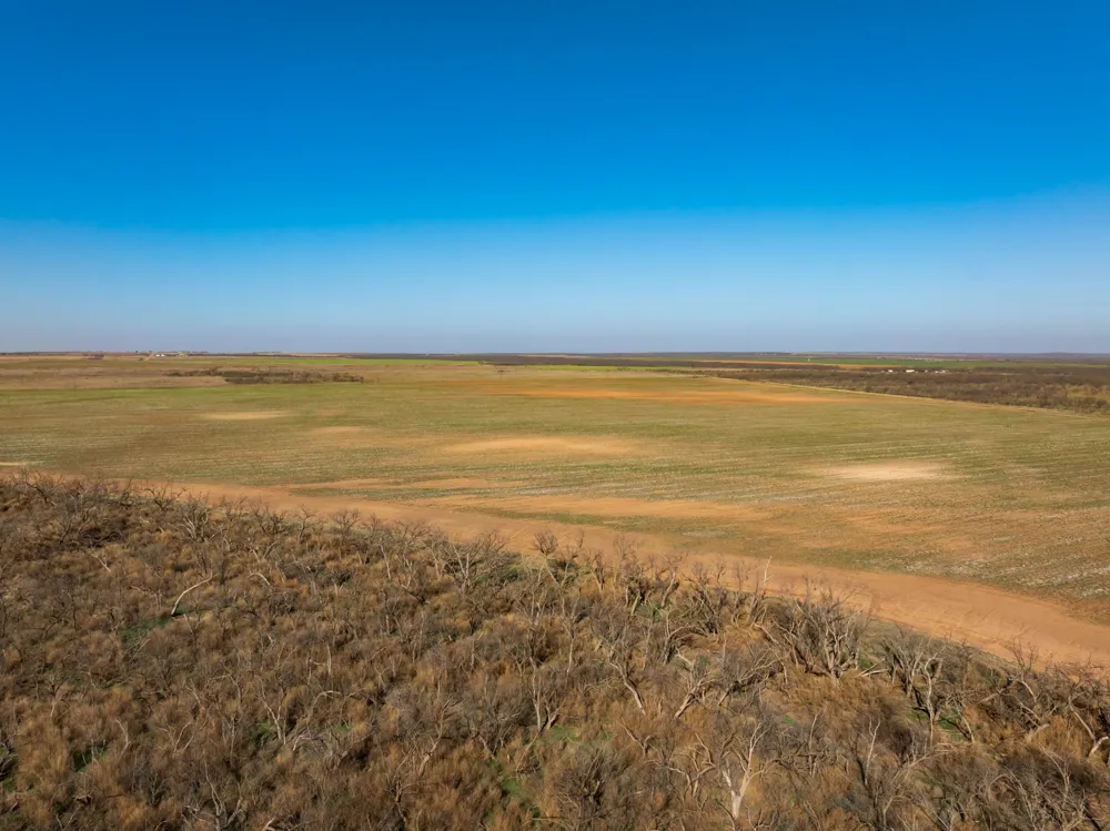 CR 262 McCaulley, TX 79534