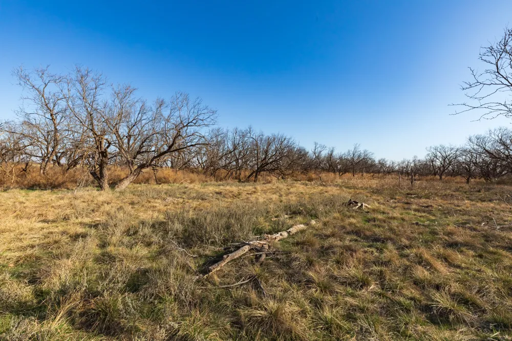 CR 262 McCaulley, TX 79534
