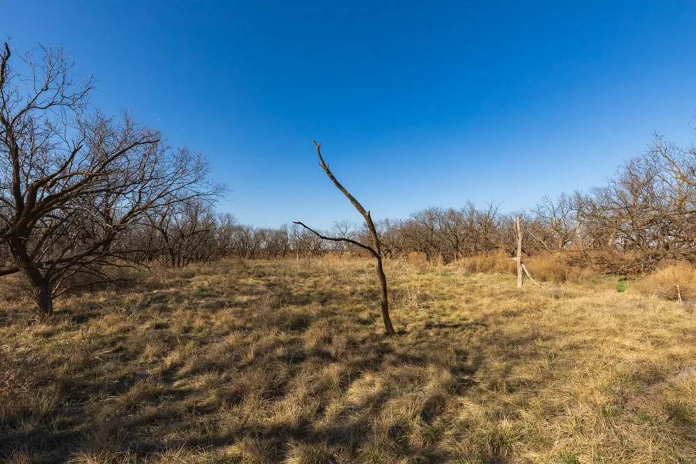 CR 262 McCaulley, TX 79534