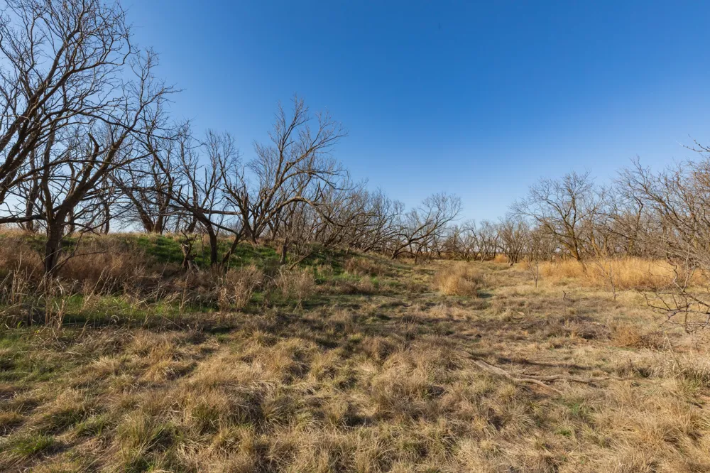 CR 262 McCaulley, TX 79534