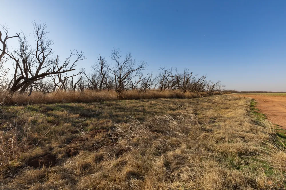 CR 262 McCaulley, TX 79534