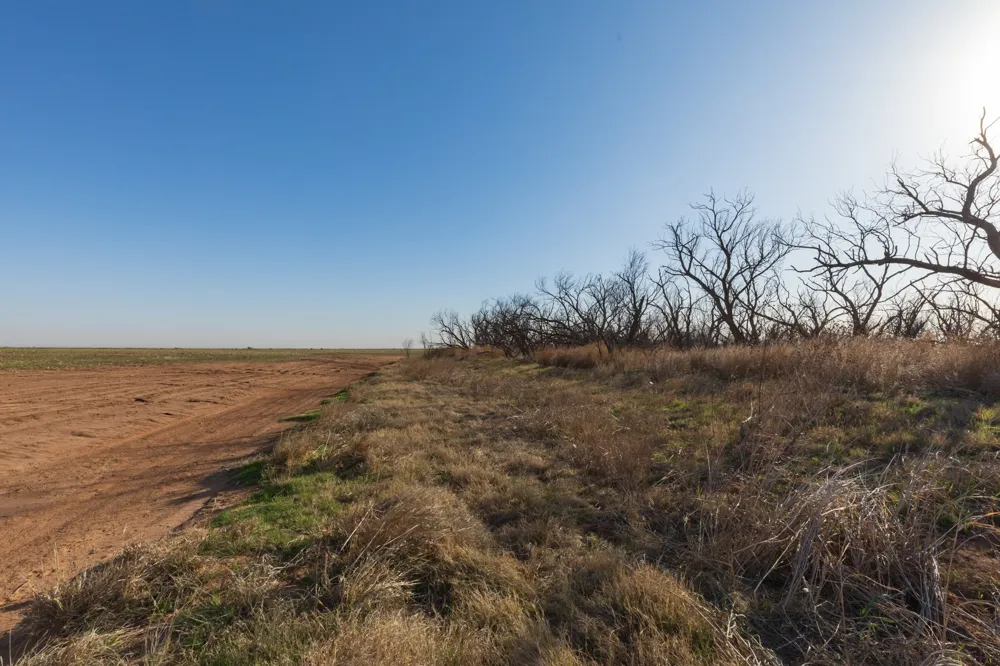 CR 262 McCaulley, TX 79534