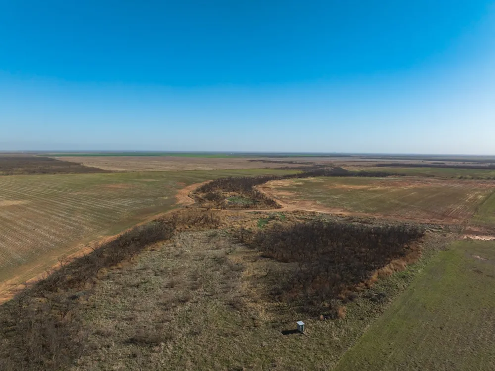 CR 262 McCaulley, TX 79534