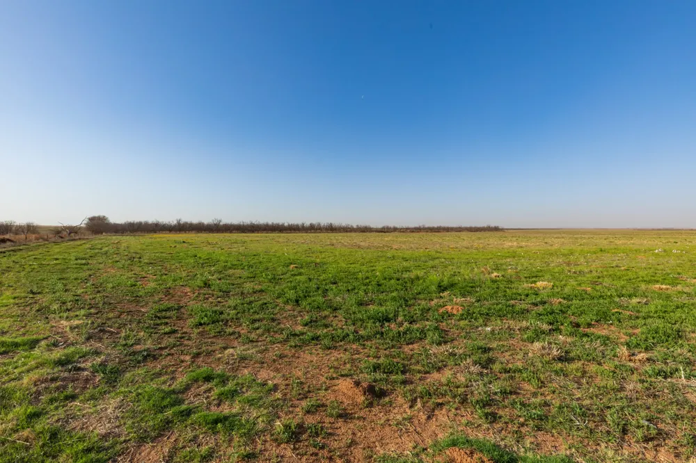 CR 262 McCaulley, TX 79534