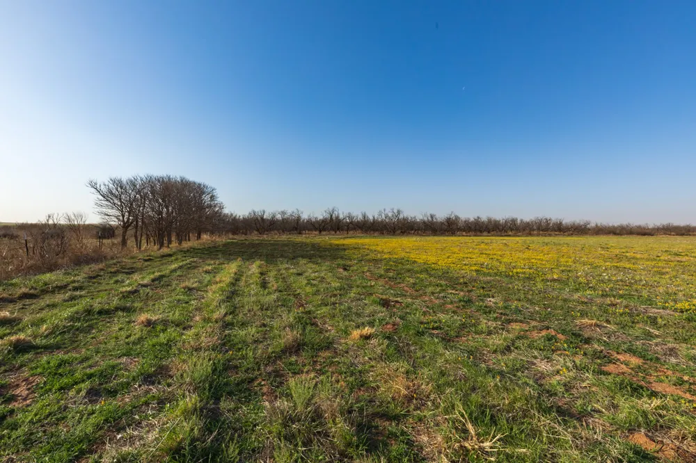 CR 262 McCaulley, TX 79534