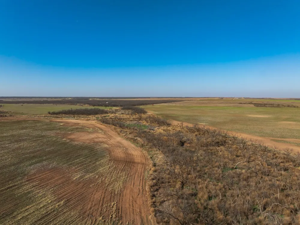 CR 262 McCaulley, TX 79534