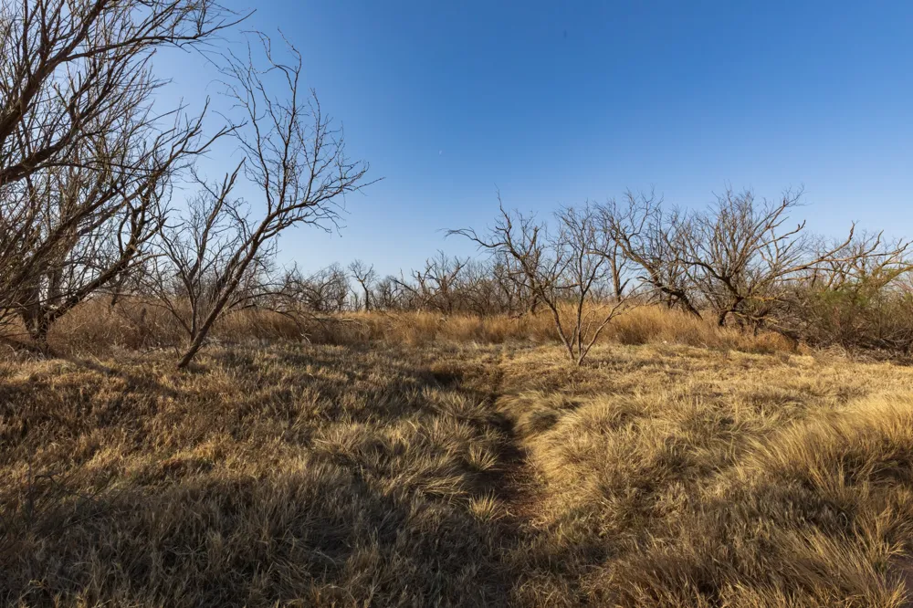 CR 262 McCaulley, TX 79534