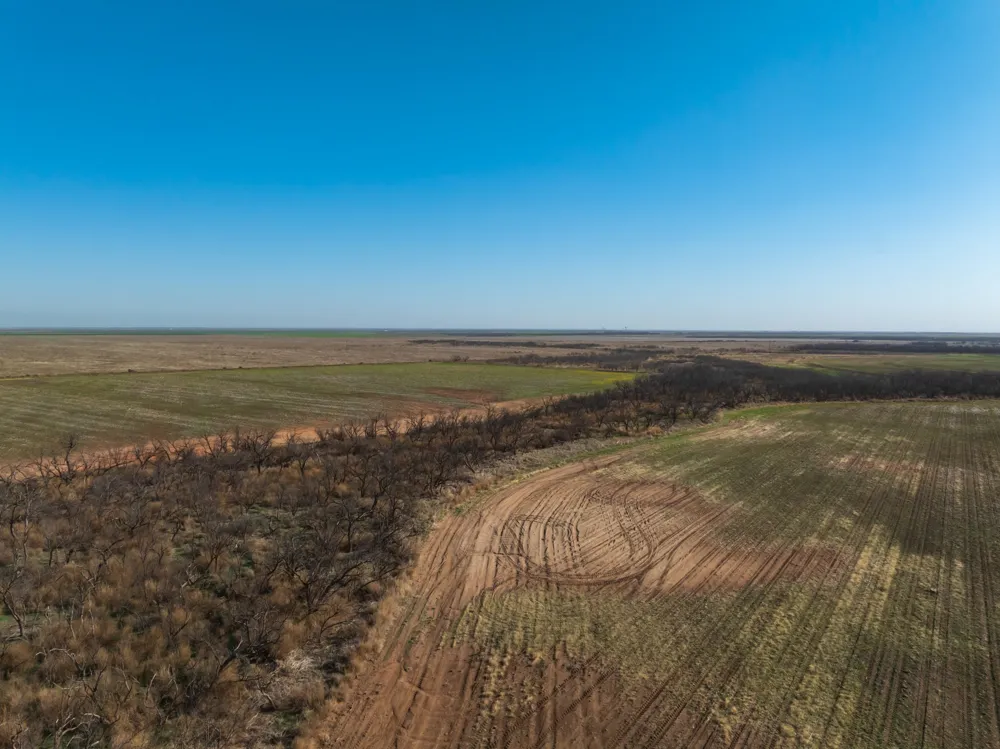 CR 262 McCaulley, TX 79534