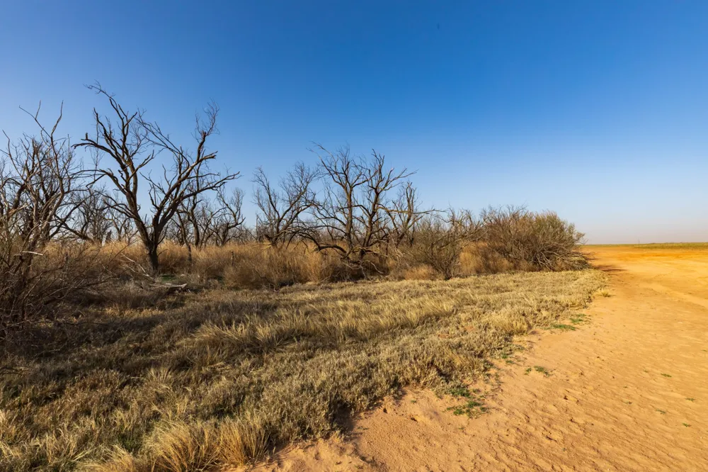 CR 262 McCaulley, TX 79534