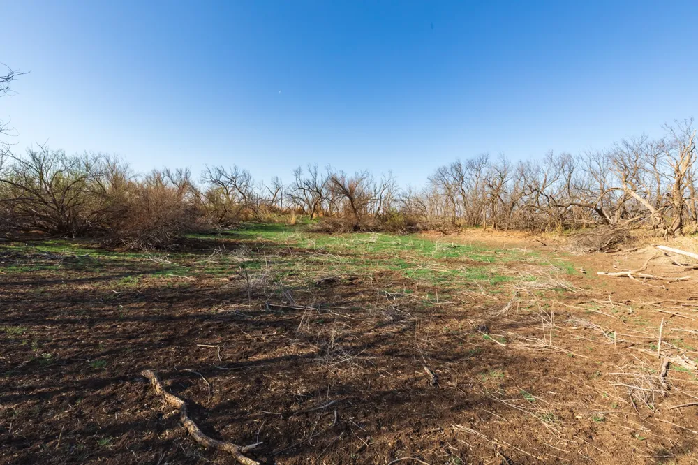 CR 262 McCaulley, TX 79534