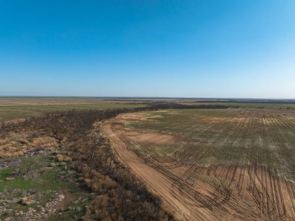 CR 262 McCaulley, TX 79534