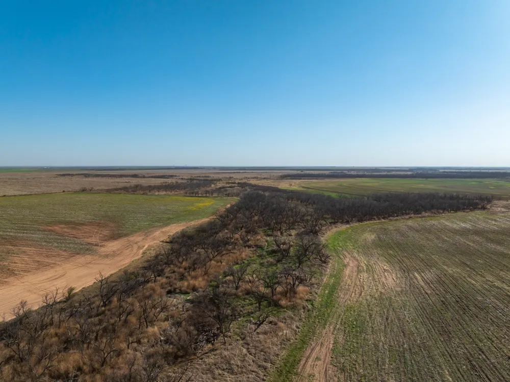 CR 262 McCaulley, TX 79534