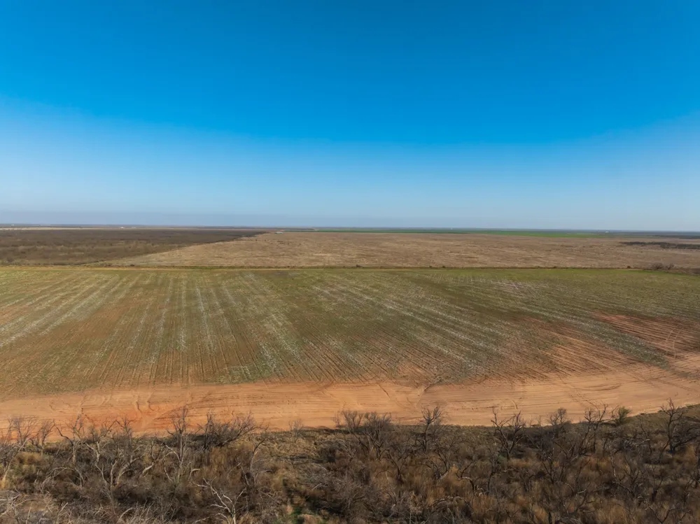 CR 262 McCaulley, TX 79534