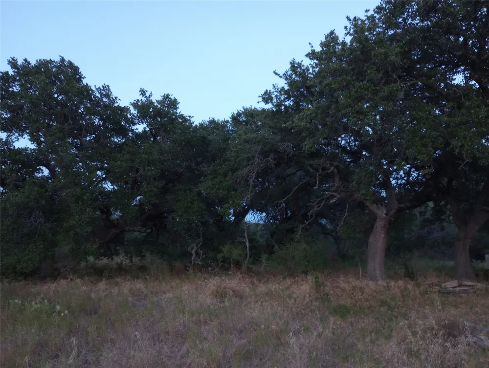 County Road 2550 Meridian, TX 76665