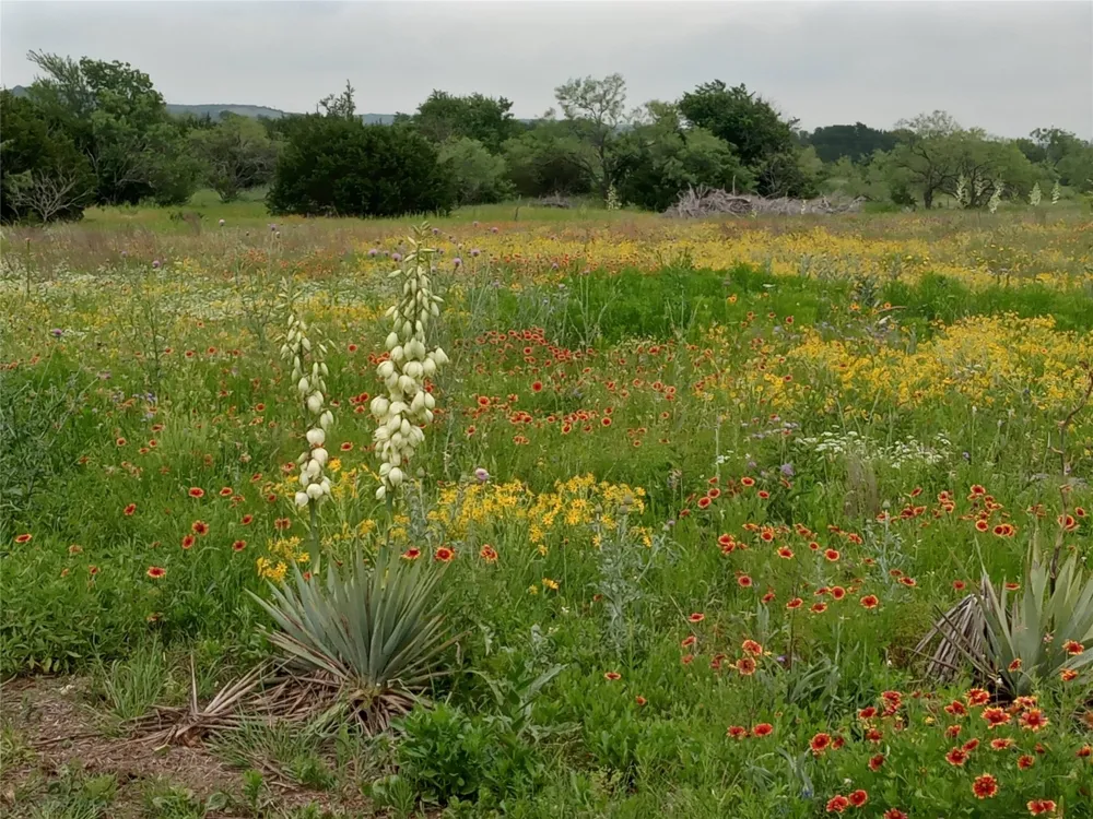 County Road 2550 Meridian, TX 76665