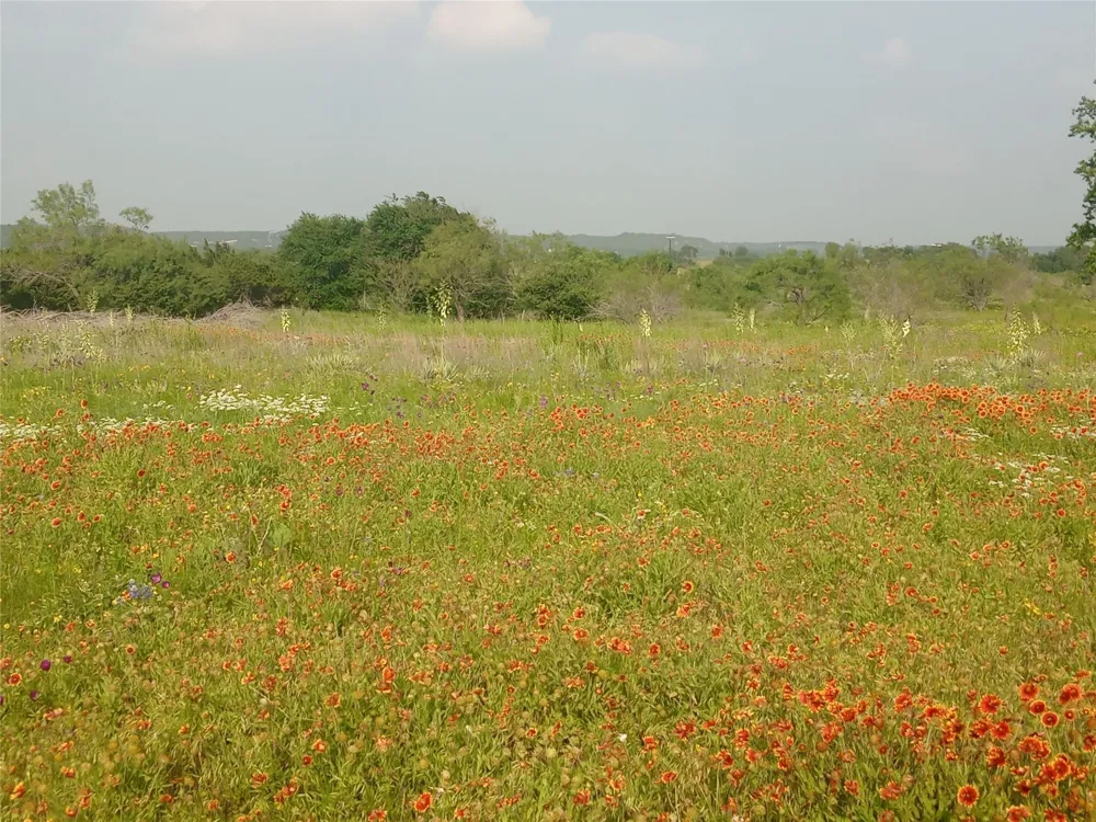 County Road 2550 Meridian, TX 76665