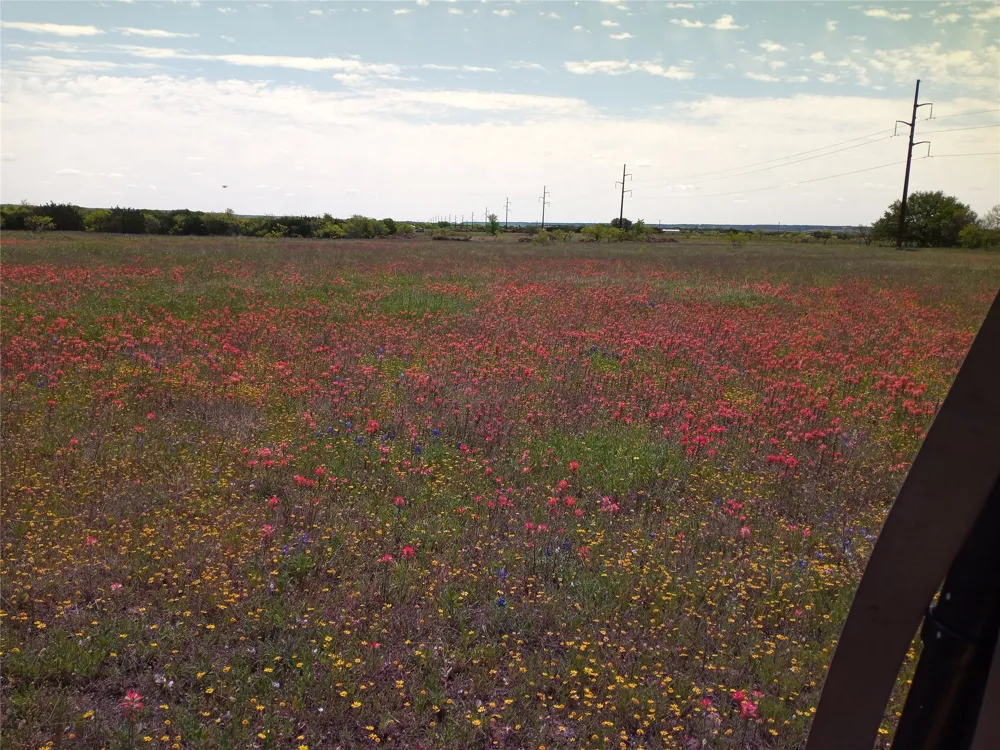County Road 2550 Meridian, TX 76665