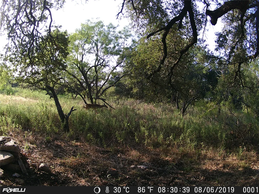 County Road 2550 Meridian, TX 76665