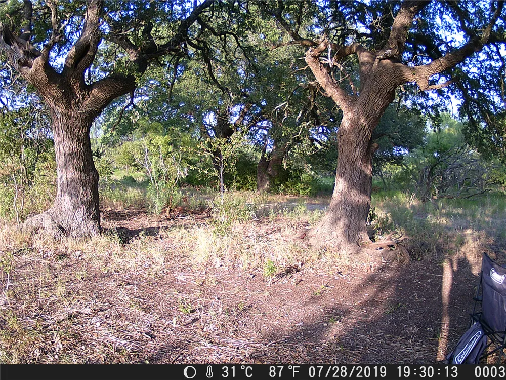 County Road 2550 Meridian, TX 76665
