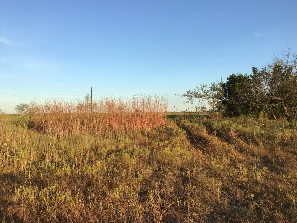 County Road 2550 Meridian, TX 76665