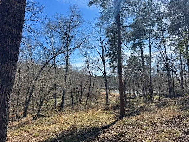 Anderson County Rd. 319 Frankston, TX 75763