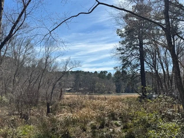 Anderson County Rd. 319 Frankston, TX 75763