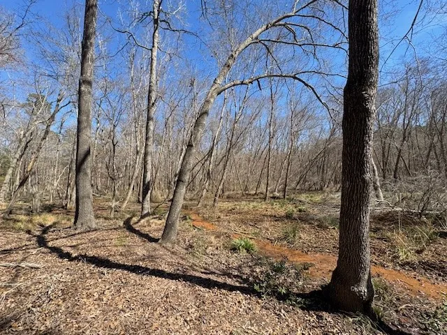 Anderson County Rd. 319 Frankston, TX 75763