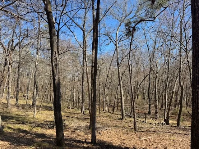 Anderson County Rd. 319 Frankston, TX 75763