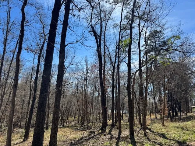 Anderson County Rd. 319 Frankston, TX 75763