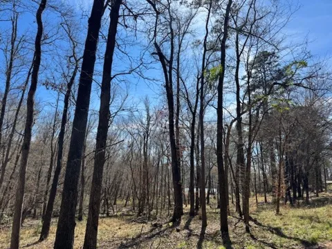 Anderson County Rd. 319
