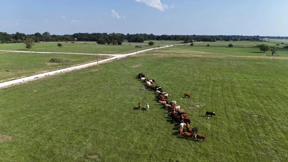County Road 463 Mexia, TX 76667