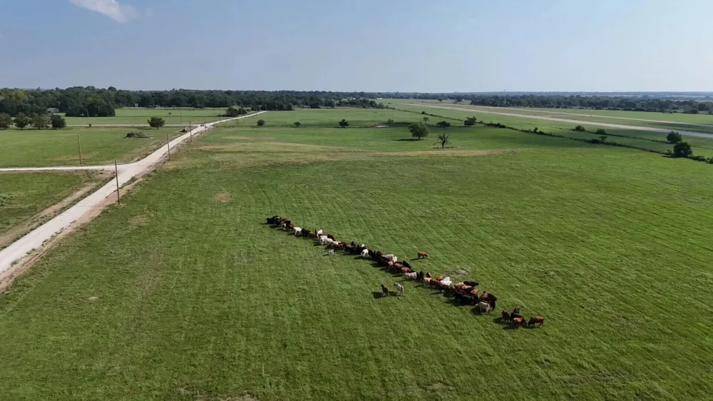 County Road 463 Mexia, TX 76667