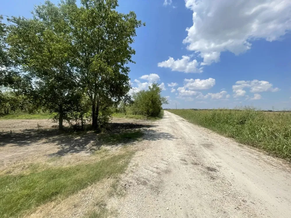 County Road 463 Mexia, TX 76667