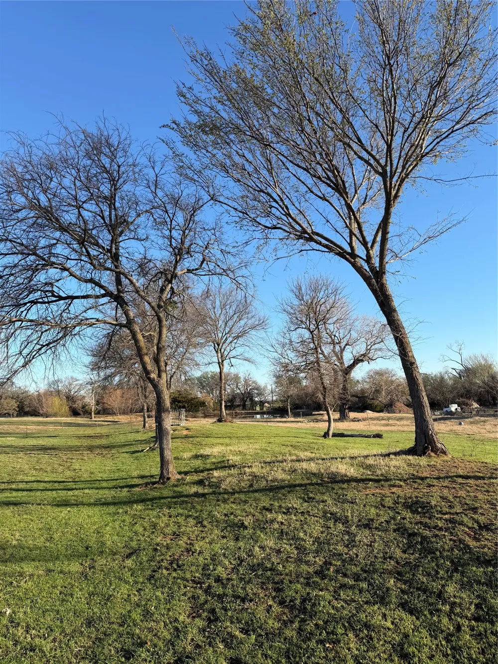 170 County Road 4678 Boyd, TX 76023