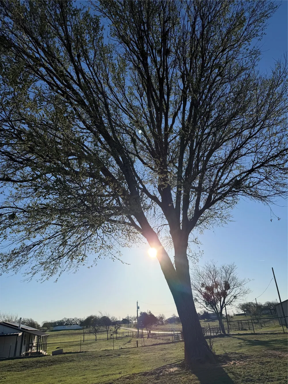 170 County Road 4678 Boyd, TX 76023