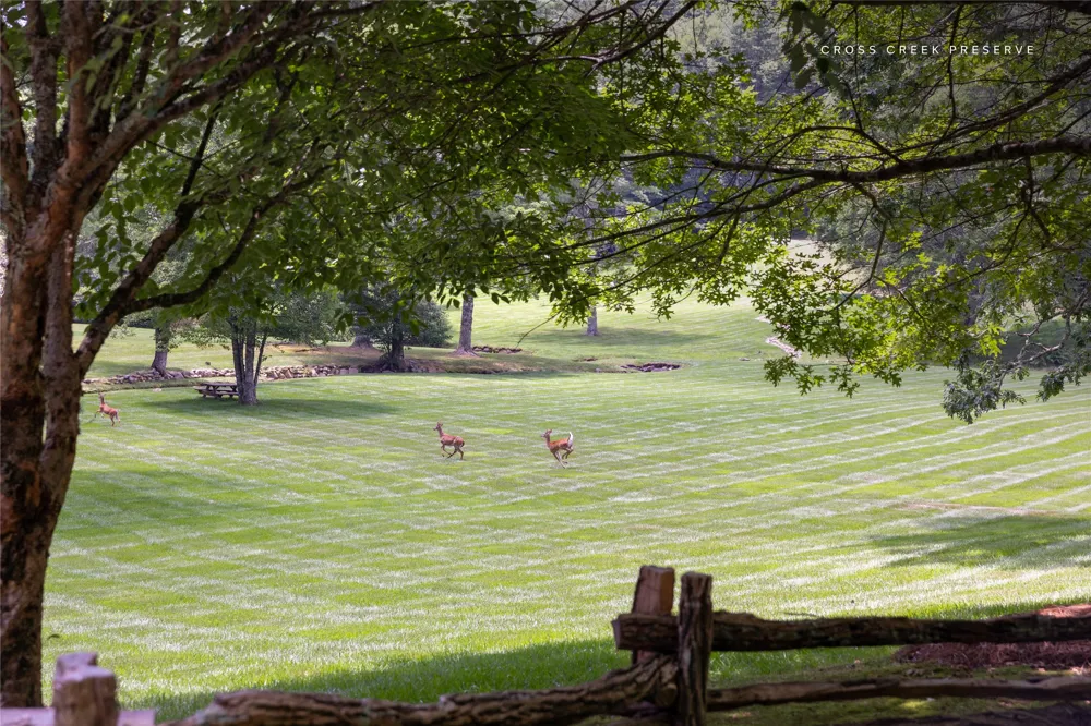 364 Cross Creek Trail Cullowhee, NC 28723