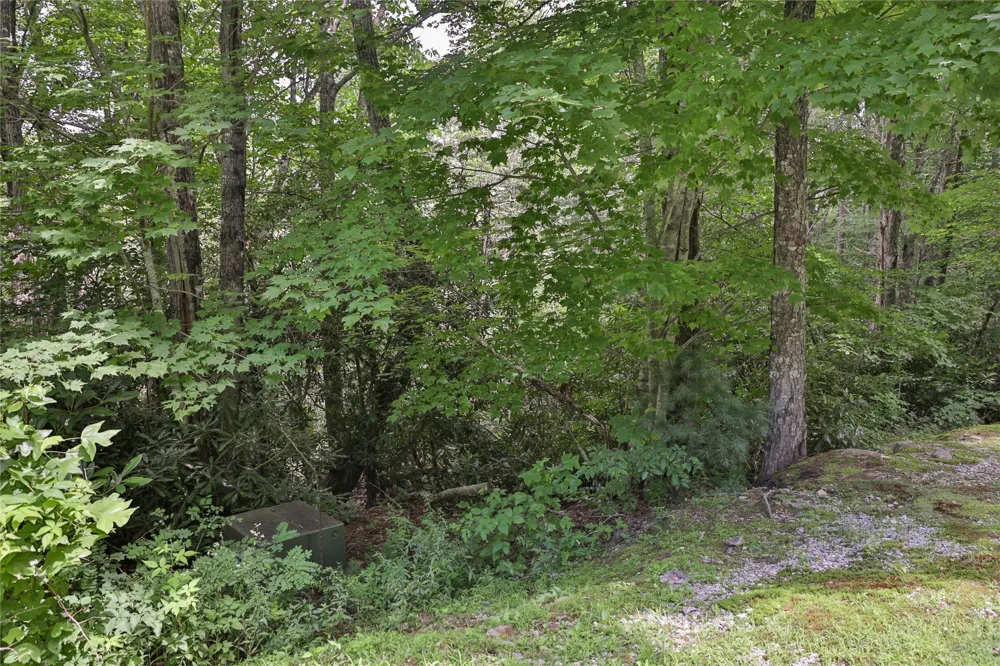 364 Cross Creek Trail Cullowhee, NC 28723